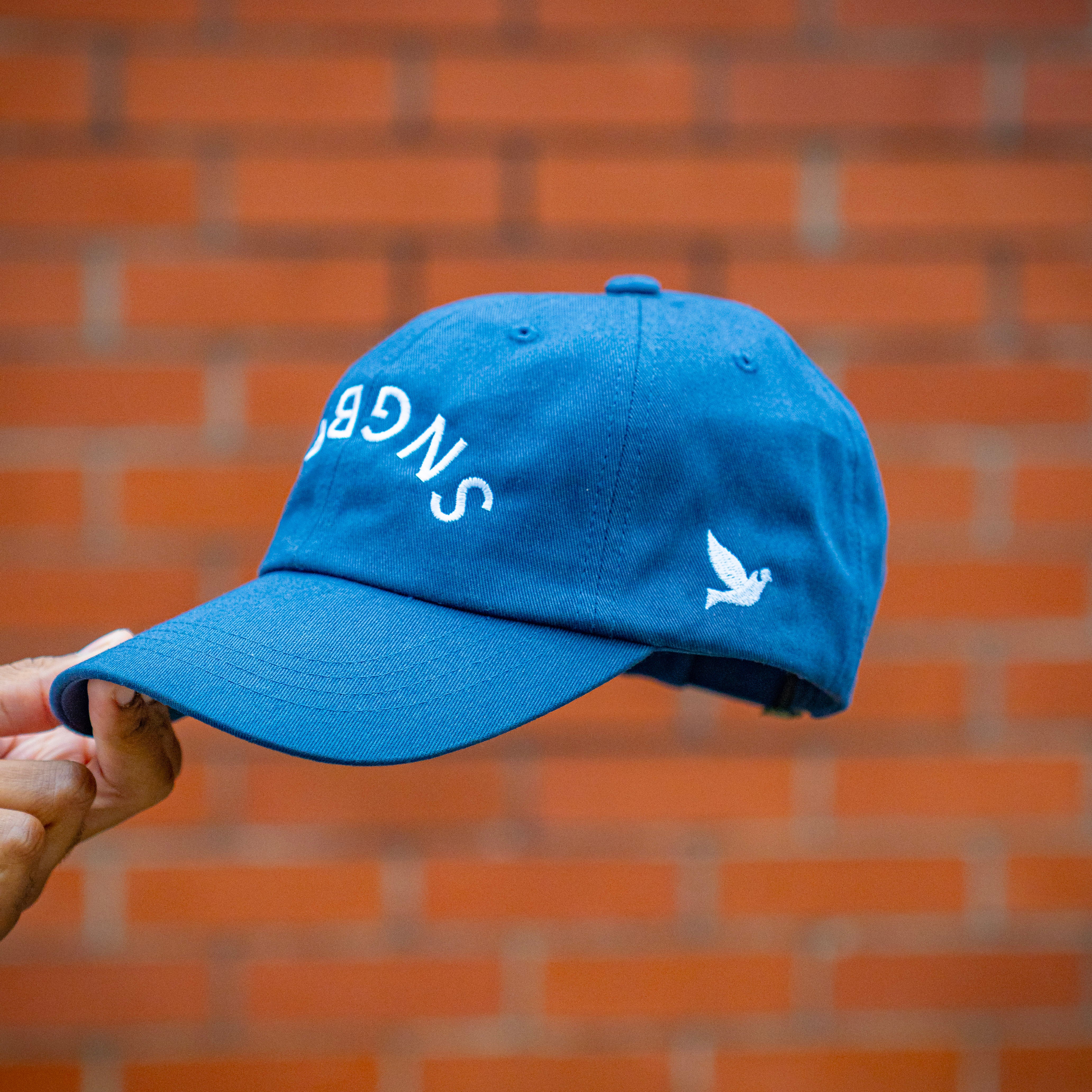 Project Songbird Cap